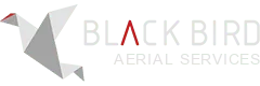 Black Bird Logo Atlanta Georgia