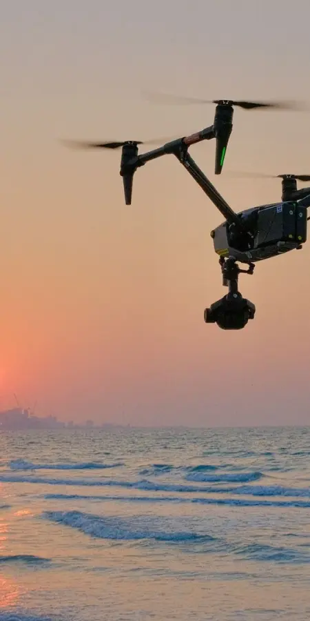 Aerial-Filming-black-bird.webp